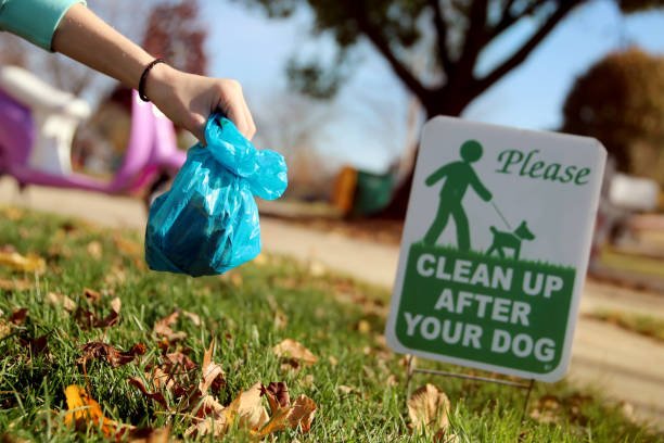 Biodegradable Dog Poop Bags for Jack Russell Terriers
